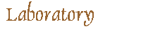 The Laboratory